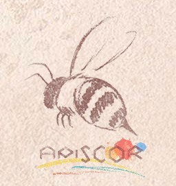 Bloques de cera de abejas Apiscor 10 unidades - color plata - Imagen 4